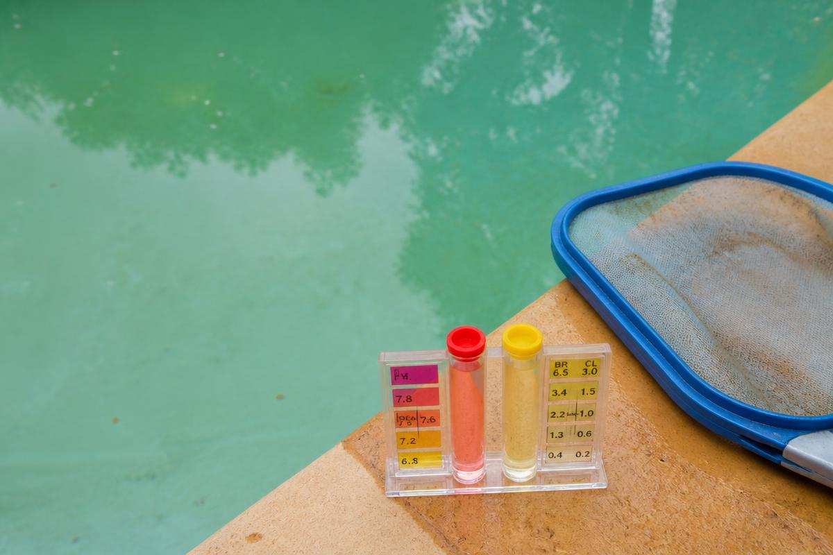 Green-tinted pool water with a test kit and skimmer net on the deck